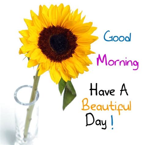 have good day clipart|beautiful images of good day.